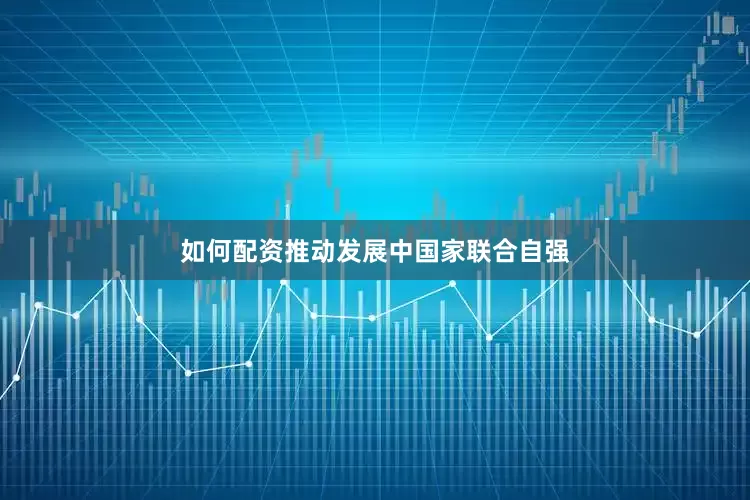 如何配资推动发展中国家联合自强