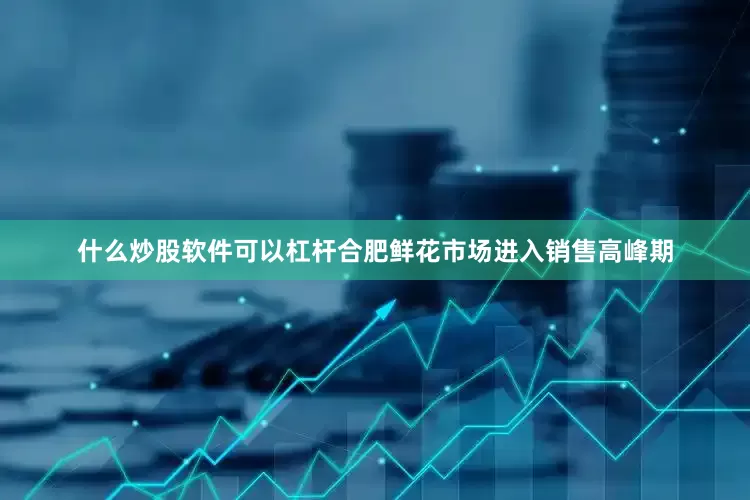 什么炒股软件可以杠杆合肥鲜花市场进入销售高峰期