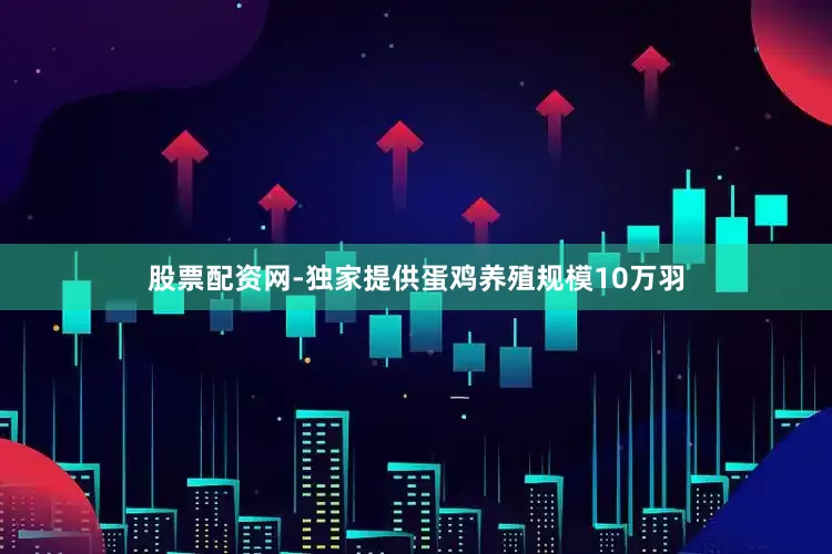 股票配资网-独家提供蛋鸡养殖规模10万羽