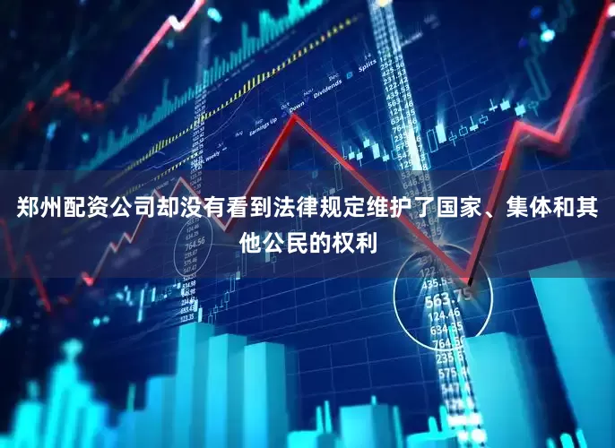 郑州配资公司却没有看到法律规定维护了国家、集体和其他公民的权利
