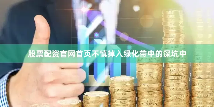 股票配资官网首页不慎掉入绿化带中的深坑中